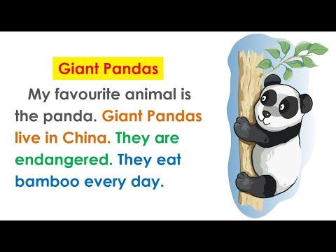 برجراف Giant Pandas برجراف عن الباندا العملاقة 