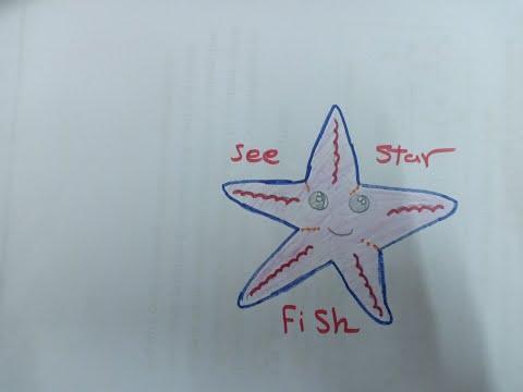 تعليم الرسم للاطفال رسم نجم البحر للاطفال مع التلوين 