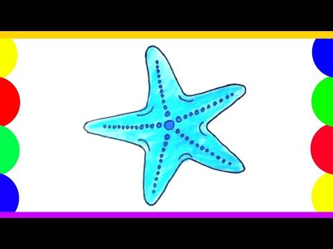 How To Draw A Starfish Easy Step By Step 