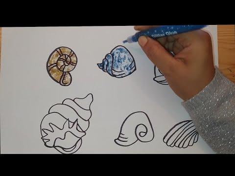 رسم اصداف البحر Drawing Seashells 