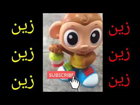 اسم زين في الاغنية العربية 