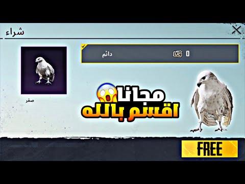 كيفية الحصول على Falcon مجانا سر لا يخبرك به أحد عن ثغرة 2023 