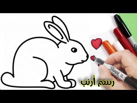 رسم أرنب سهل رسم سهل تعليم الرسم رسومات سهله تعلم الرسم 