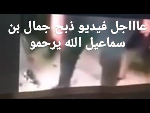 عاااجل فيديو ذبح جمال بن سماعيل الله اكبر 