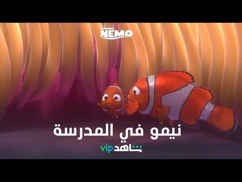 أول يوم مدرسة مين متحمس وشاطر زي نيمو 