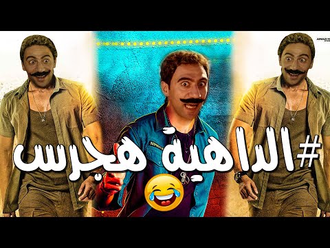 نصف ساعة من الضحك الساخر مع الهجرات الذكية. بصراحة، أعجبني ذلك 