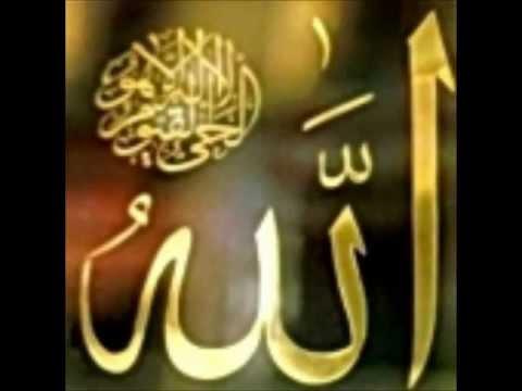 الشيخ أسامة جلال عامر الحجرات 