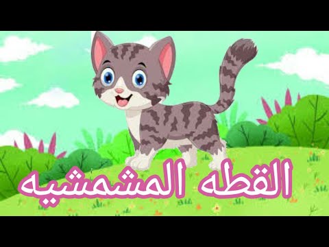 قط المشمش هو طائر الجنة جميل ولكنه شقي 