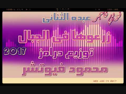 أجمل أغنية نوبية لعام 2018. زرعوها في الجبال 