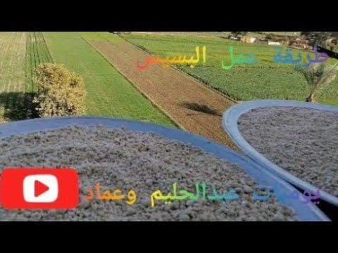 طريقة عمل القاعدة الصعيدية المقلية في المنزل وكيفية طبخها 