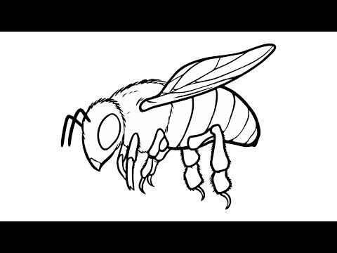 كيفية رسم نحلة 