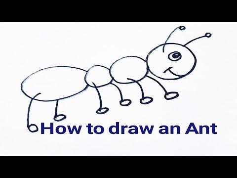 How To Draw An Ant For Kids كيفية رسم نملة للأطفال 