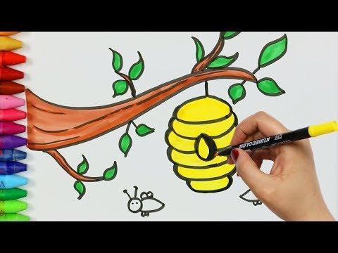 كيفية رسم النحل وخلايا بي تلوين الصفحات تعلم التلوين كيفية رسم ولون الاطفال التلفزيون 