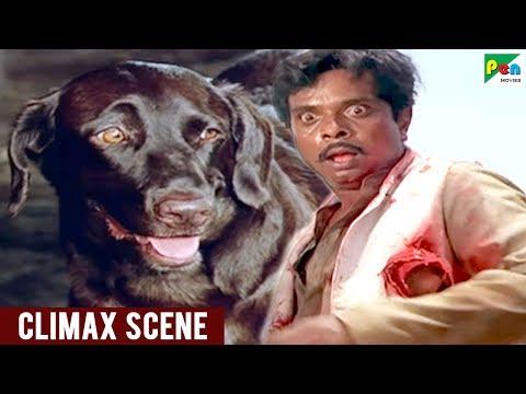 Moti Kills Sadashiv Climax Scene مشهد فيلم Teri Meherbaniyan الفيلم الهندي الشهير 