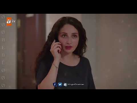 مرت سنة أحلى أغنية للزهور الحزينة 