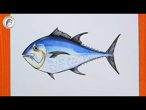 رسم للمبتدئين How To Draw A Fish Tuna Fish رسم سهل خطوات الرسم سمكة التونة 