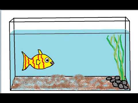 كيفية رسم حوض السمك 