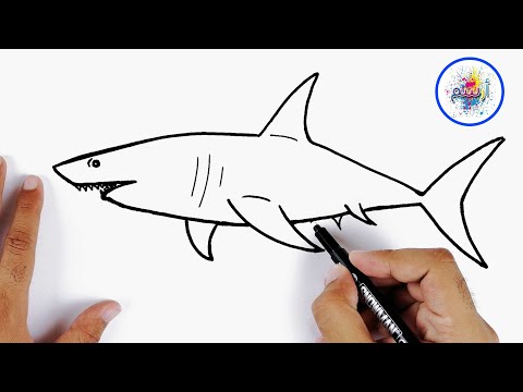 رسم سهل جدا للمبتدئين تعلم رسم سمكة قرش خطوة بخطوة تعليم الرسم للاطفال 