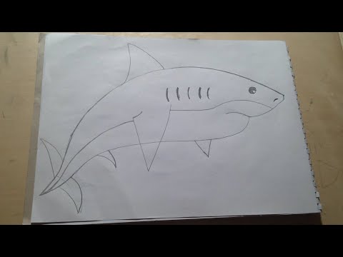 رسم سمكه قرش بطريقه بسيطه Draw A Shark In A Simple Way 