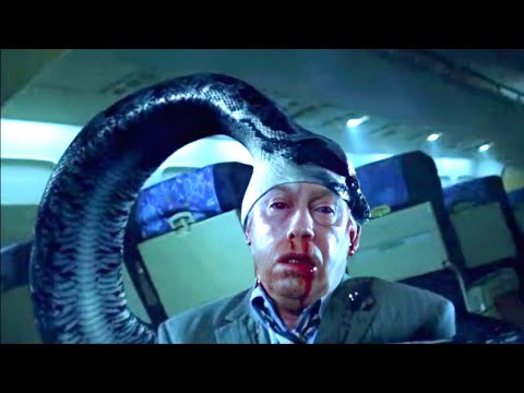 مجموعة من الثعابين والثعابين السامة تهاجم ركاب طائرة في الجو ولكن ملخص فيلم Snakes On A Plane 