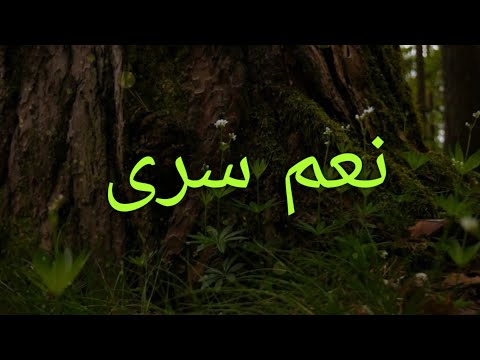 نعم سرى طيف من اهوى عيشة احمد الدربني و سمير خالد Harget Kart Video Lyrics 