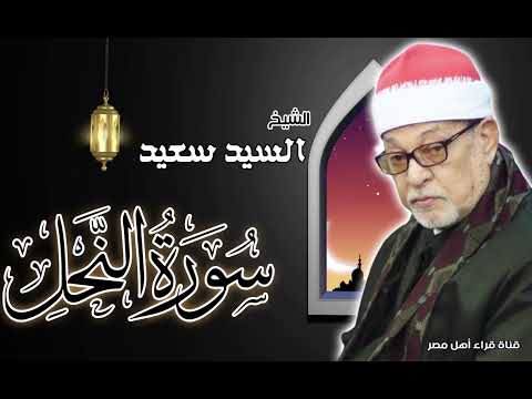 القارئ الشيخ سيد سعيد وماذا تشرح له عن سورة النحل 