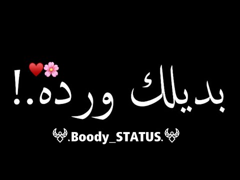 حاله واتس بديلك ورده وياريت تخديها مني شاشه سوداء 