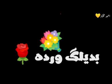 حالات واتس إسلام نبوي بديلك ورده وياريت تخديها مني من مهرجان اسكت ي قلبي 