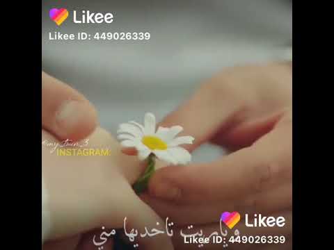 بديلك ورده وياريت تخديها منى 