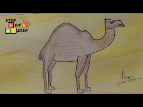 أسهل طريقة لرسم الجمل خطوة بخطوة 