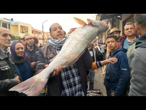 حلقة السمك اليوم اسعار جمبري جامبو وسمك البحر وسبيط 