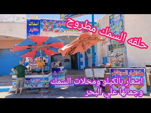 مزادات حلقات أسماك مطروح أسعار السمك بالكيلو مخازن الميناء تجهيز وتسليم 