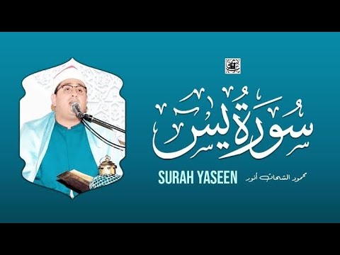 سورة ياسين كاملة بصوت الشيخ محمود الشحات أنور 