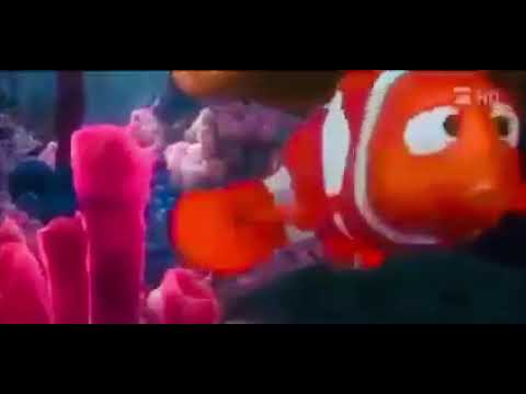 مقطع من السمكة نيمو مؤثر جدا Fending Nemo Video Summary 