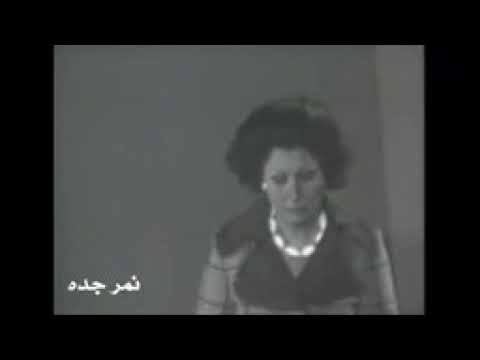 الدنيا مشرقة يا يابا 