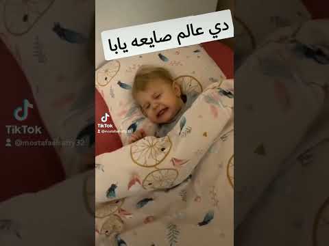 هذه الدنيا الطيبة يا عادل إمام 