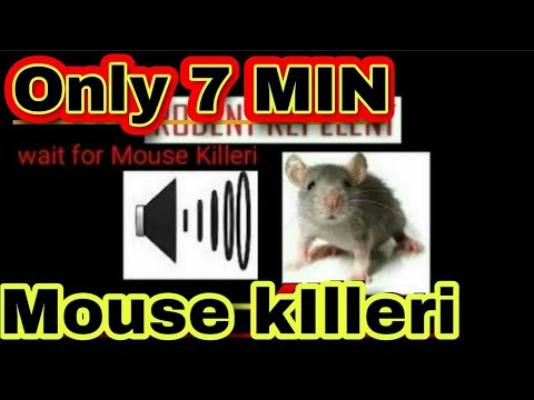 MOUSE KILLER ON KILL MICE Very High Pitch Sound Noises 