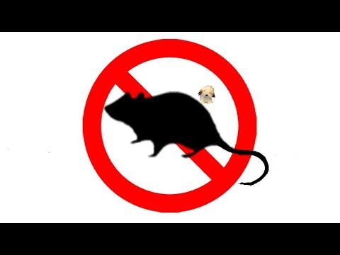 Mouse Rat Ultra Sonic Deterrent Mice Ultrasonic Repellent 12 Hours 