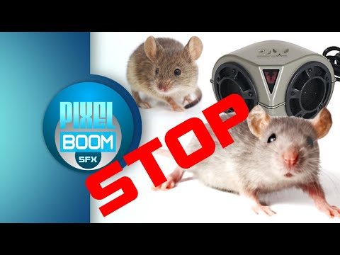 2HRS Anti Mouse Rat Ultra Sonic Sound Mice Ultrasonic Repellent 