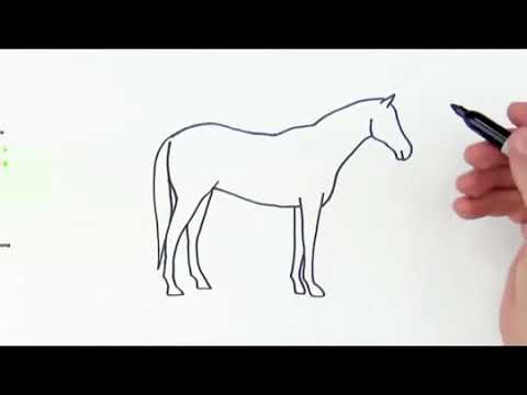 رسم حصان للمبتدئين والاطفال Lبخطوات بسيطة L تعلم 