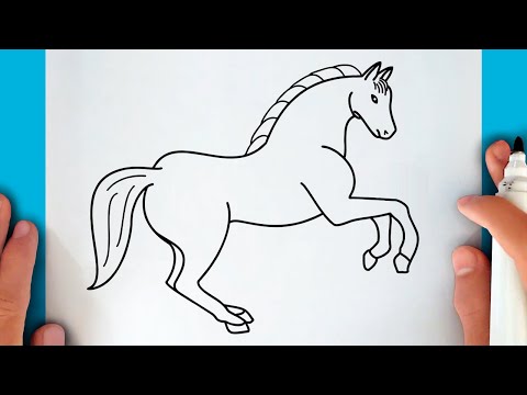 كيفية رسم حصان 