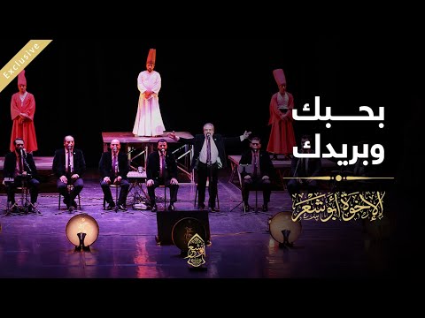 أحبكم وأحبكم وأتمنى أن أقبل أيديكم يا إخوة أبو شعر. نحبك ونريدك يا ​​ابو شعر 