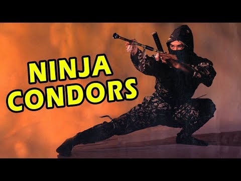 Wu Tang Collection Ninja Condors 