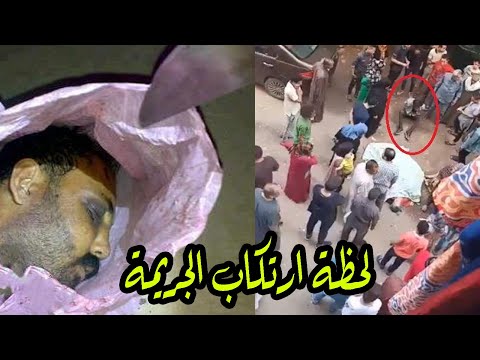 مذبحة الإسماعيلية تتكرر من جديد شاب يقطع رأس صديقه بالساطور وسط المواطنين والسبب غامض 