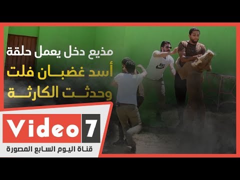 نسيوا يقفلوا الباب لحظة هجوم أسد غضبان على مذيع كاد أن يلتهمه بالكامل 