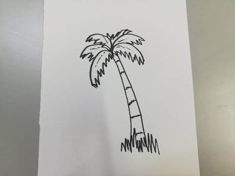 رسم نخلة سهلة جميلة How To Draw Palm Tree 