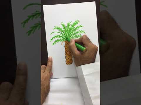 Palm Tree شجرة نخلة رسم 