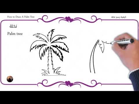 How To Draw A Palm Tree كيف ترسم نخلة 