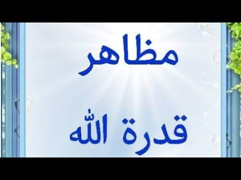 الصف الأول الإعدادي: تجليات قدرة الله مع إجابات التمارين من الكتاب المدرسي وكتاب المعلم 