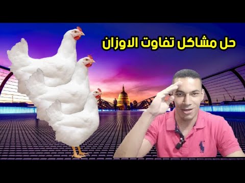 12 خطأ يتسبب في اختلاف الأوزان 